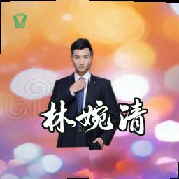 林婉清